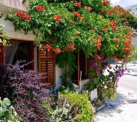 Appartamento Absolute Waterfront Podgora (Split-Dalmatia)